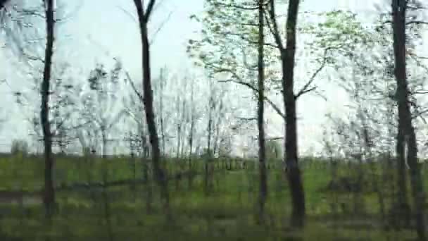 Vista de estrada de campos verdes e árvores — Vídeo de Stock