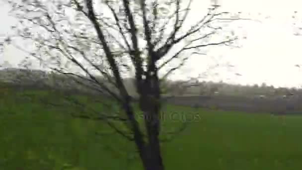 Vista de estrada de campos verdes e árvores — Vídeo de Stock