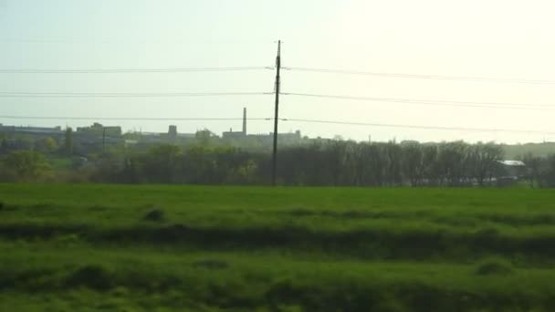 vue sur la route des champs verts et des arbres 