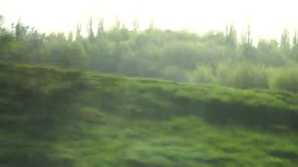 Weg beeld van groene velden en bomen — Stockvideo