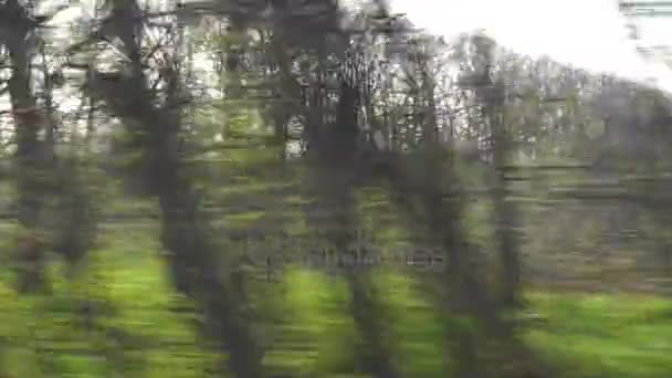 Vista de caminos de campos verdes y árboles — Vídeos de Stock