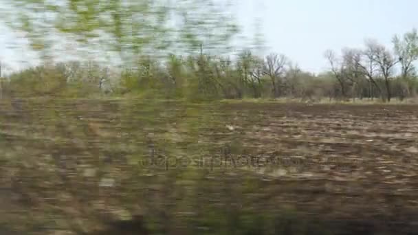 Weg beeld van groene velden en bomen — Stockvideo