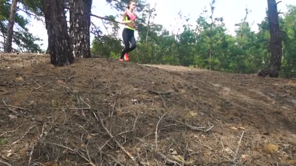 Ung ganska atletisk kvinna kör runt i skogen — Stockvideo