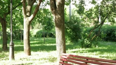 aşık genç bir çift el ele tutuşup Parkta yürümek