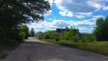 yeşil yaprakları ve güneş ile Timelapse