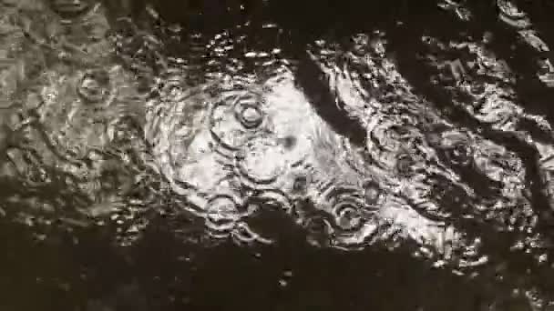 Капли дождя падают в лужу в замедленной съемке — стоковое видео