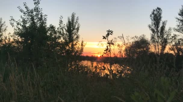 Zomer zonsondergang op een meer — Stockvideo