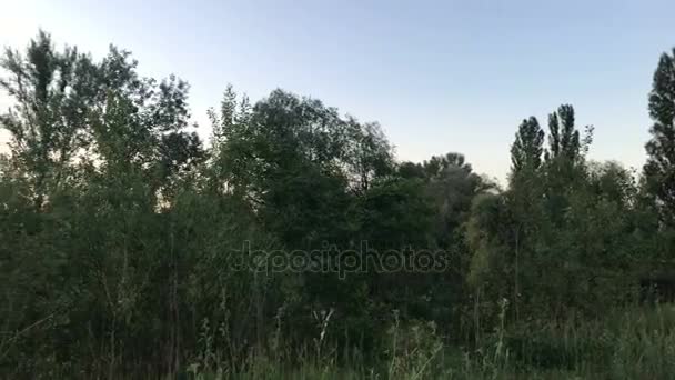 Coucher de soleil d'été sur un lac calme 