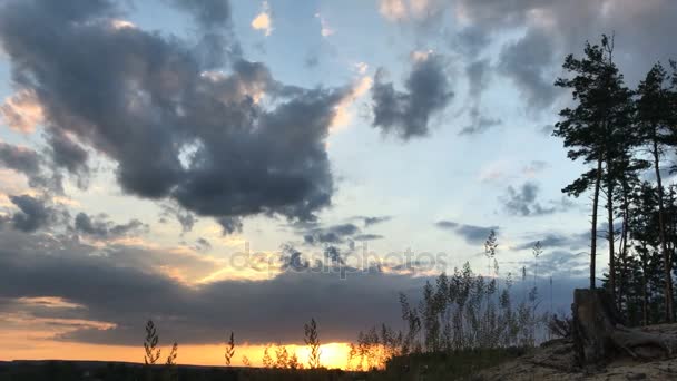 Літній захід сонця в лісі з красивими хмарами — стокове відео