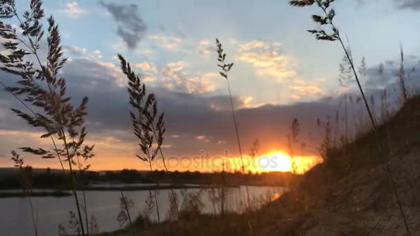 Pôr-do-sol laranja em um lago tranquilo — Vídeo de Stock