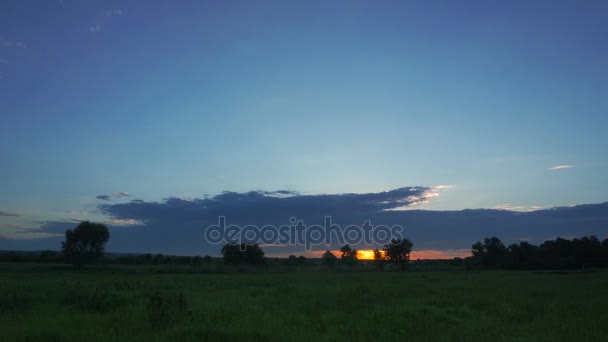 Schöner warmer Sonnenuntergang im grünen Feld — Stockvideo