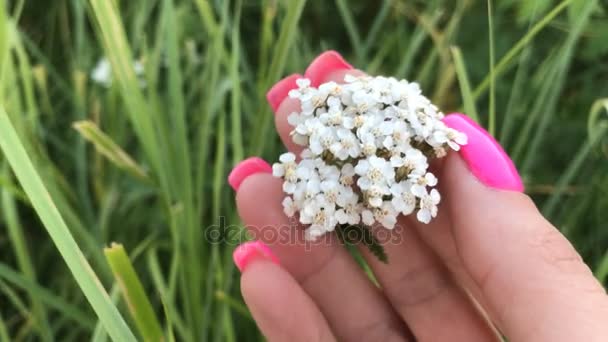 Девушка трогает красивый белый цветок — стоковое видео