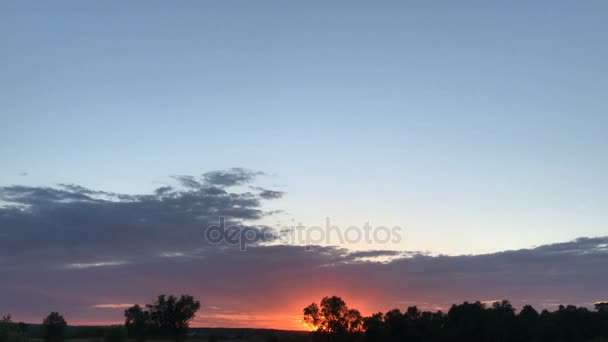 Puesta de sol de verano en el campo — Vídeos de Stock