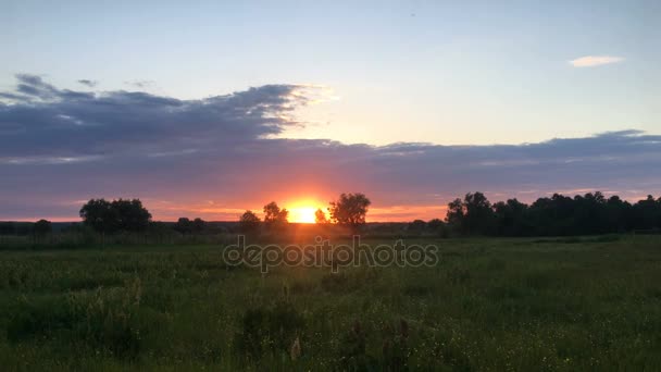 Pôr do sol de verão no campo — Vídeo de Stock