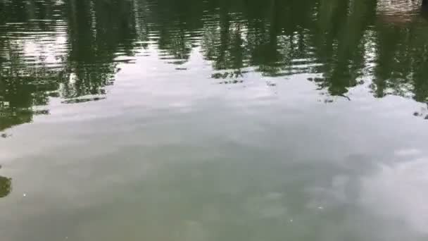 Tyst vidsträckta sjön — Stockvideo