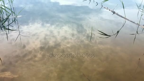 Reflektion av den blå himlen — Stockvideo