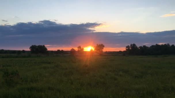 पार्श्वभूमी एक आकर्षक संध्याकाळी सूर्यास्त — स्टॉक व्हिडिओ