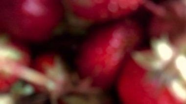 en lezzetli kırmızı çilek