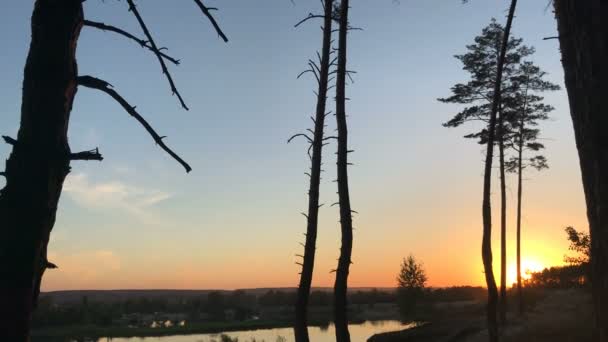 Arbres sur le coucher du soleil ensoleillé et lac — Video