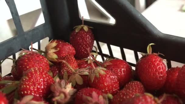 Un montón de fresas rojas grandes — Vídeo de stock