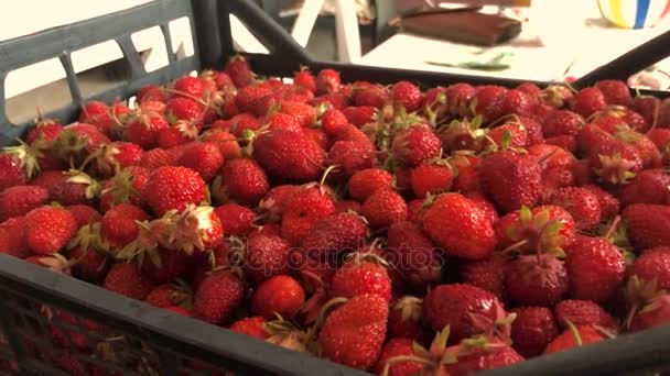 Große Schachtel mit reifen, köstlichen Erdbeeren — Stockvideo