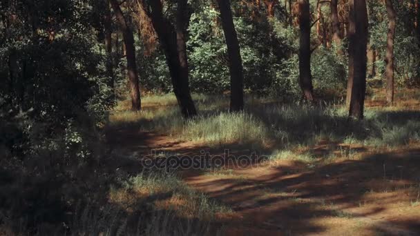 jeune femme athlétique conduisant un vélo 