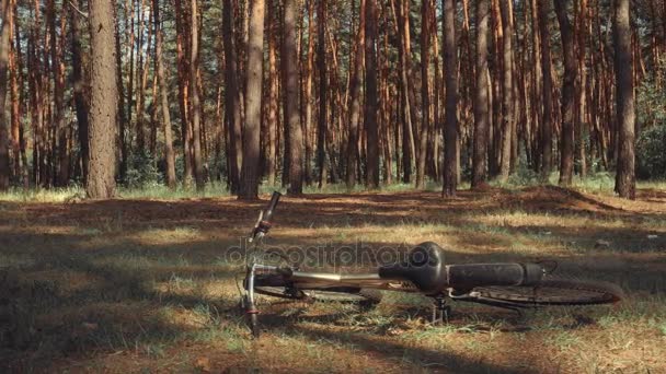 Giovane signora sessuale con una bicicletta — Video Stock