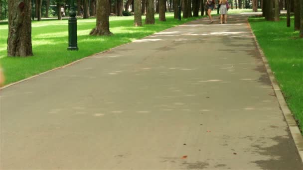 Chica en pantalones cortos va patinando en el parque — Vídeos de Stock