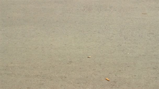 fille sur patins à roulettes sur la route 