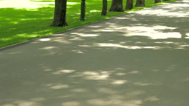 Una giovane ragazza corre in Fitness Pantaloni sportivi nel Parco — Video Stock