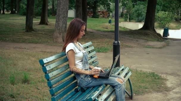 Parkta oturan bir dizüstü bilgisayar ile genç ve güzel kadın — Stok video