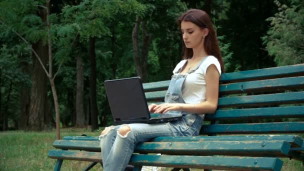 A charming young lady sitting with a laptop in the hands of the summer — Stock Video