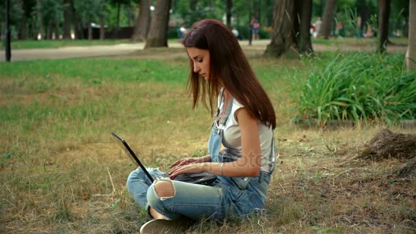 Pin-up-Mädchen trugen Abdrücke auf ihrem Laptop, während sie in der Nähe eines Baumes saßen — Stockvideo