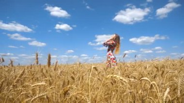 güzel kız bir buğday alanında ayakta ve saç düzeltiyor