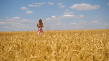 bir buğday alan elinde duran genç kız saç ve gülümsüyor düzeltiyor