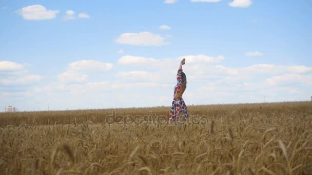 Goed mooi meisje in jurk opvalt in het veld — Stockvideo