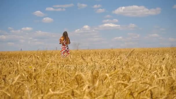 Joven chica de pie en un campo de trigo manos alisa el cabello y sonríe — Vídeos de Stock