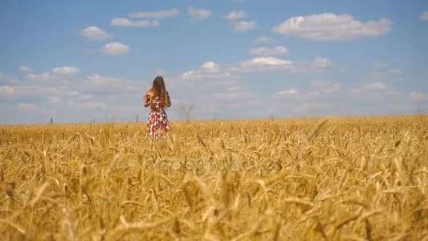 Giovane ragazza in piedi in un campo di grano mani raddrizza i capelli e sorride — Video Stock