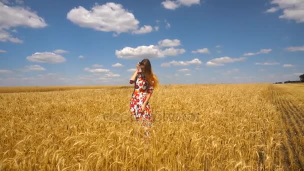 Joven dama en un vestido de pie en un campo de trigo — Vídeos de Stock