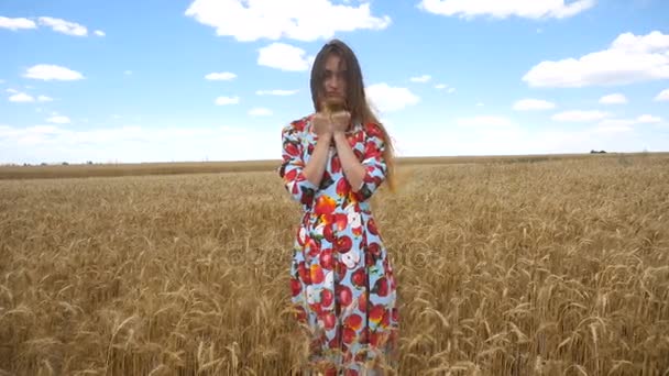Lány áll a mező ruha, és azt mutatja, a tenyér, búza — Stock videók
