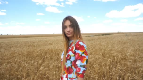 Young girl stretches to the camera wheat spikelet in hand — Stock Video