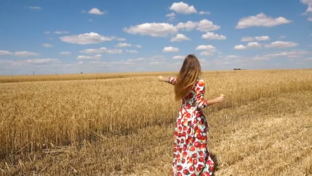 Menina sorrindo com bolhas de sabão bangin no campo de trigo em câmera lenta — Vídeo de Stock