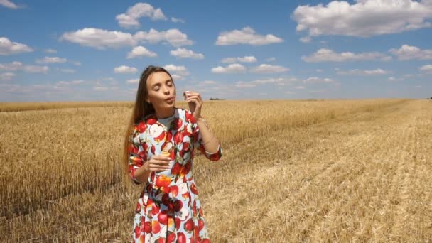 Дама в сукні стоїть біля пшеничного поля в сонячний день і надуває мильні бульбашки в повільному русі — стокове відео