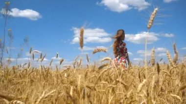 çekici kız bir parlak elbise ayakta Rüzgar buğday alanında