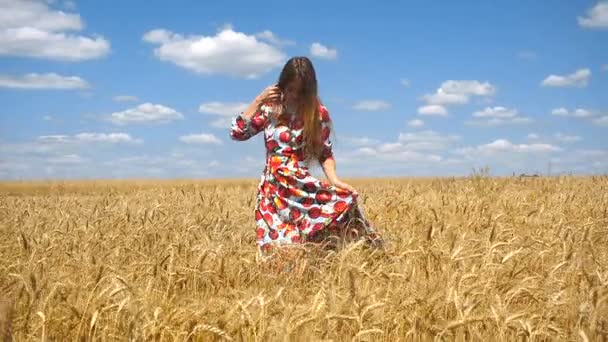 Девушка держит за руки яркое платье и идет на пшеничное поле — стоковое видео