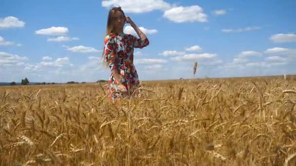 Een charmante jonge meisje in een tarweveld kijkt de camera corrigeert haren — Stockvideo