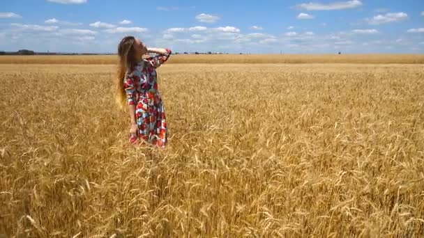 Bela jovem de pé em um campo com trigo em um vestido bonito — Vídeo de Stock