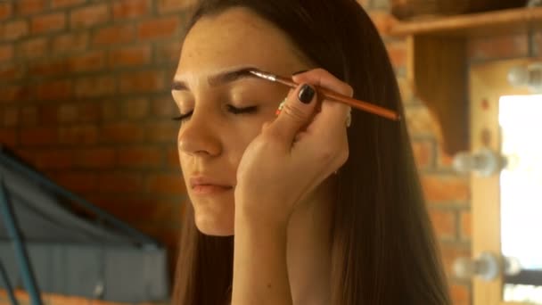 Artista de maquillaje profesional pinta a una joven — Vídeos de Stock