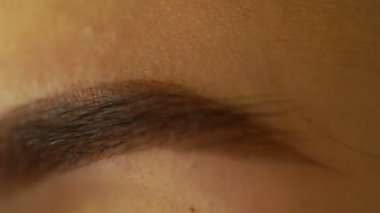 onun kaşları genç kadın makyaj fırça tarak