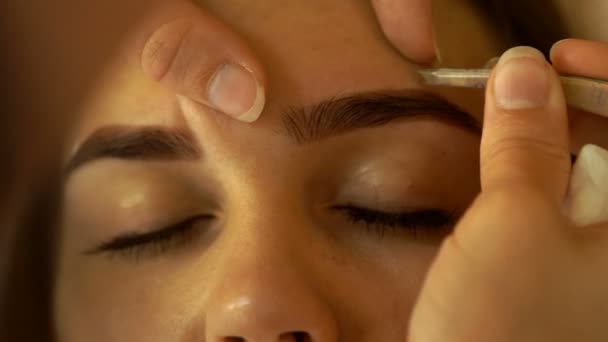 Maquillage fait correction des sourcils jeune femme — Video